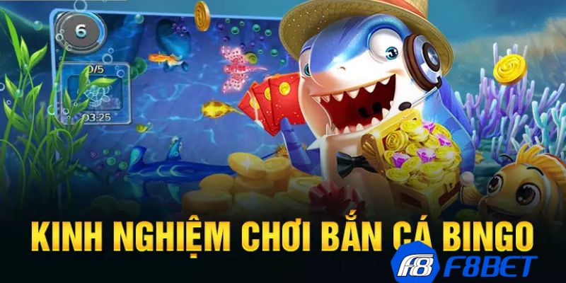 Kinh nghiệm chơi bắn cá bingo ăn tiền hiệu quả từ cao thủ