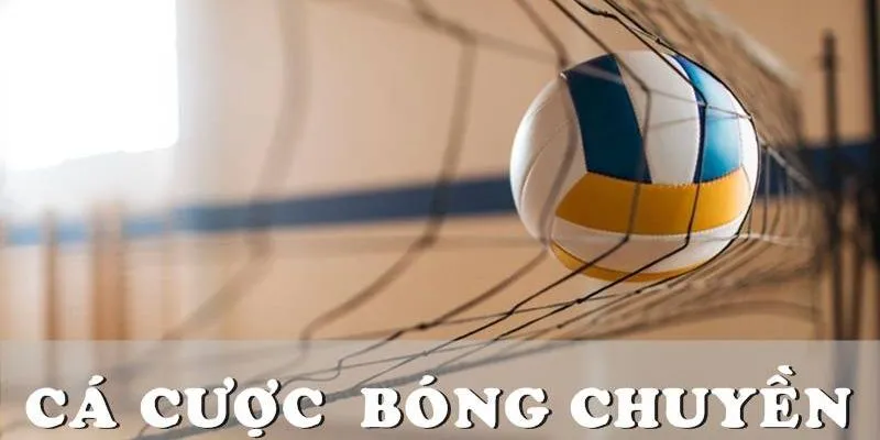 Khám phá thời điểm tốt nhất để đặt cược bóng chuyền